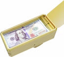 GOLD MONEY GUNS SHOOTER